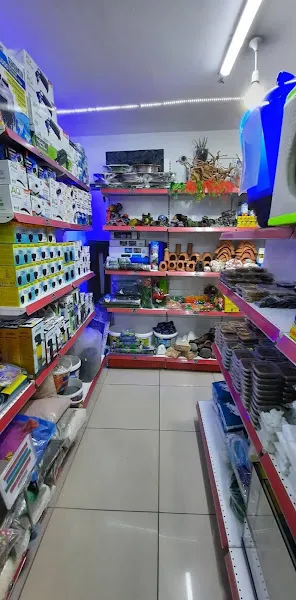 KRAL PETSHOP foto 2