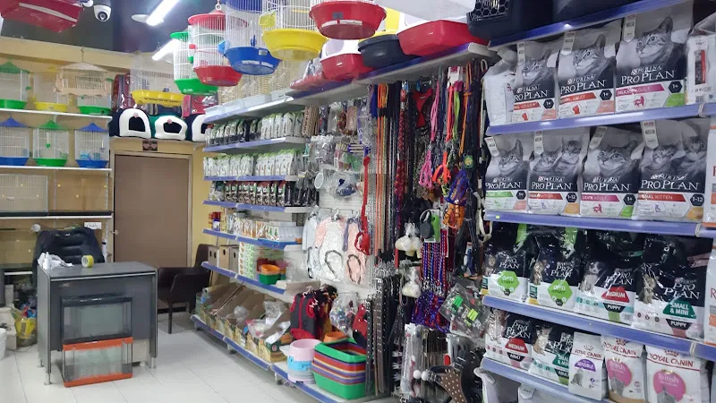 Cadde Petshop foto 2