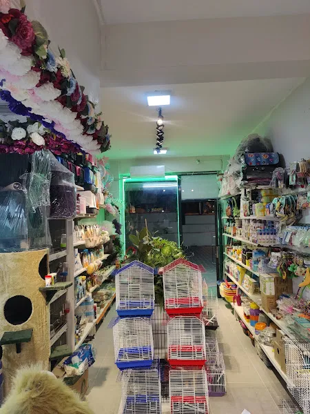 Pati Petshop Çiçek Evi foto 2