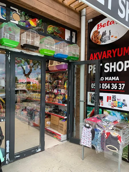 Beta Akvaryum & PetShop foto 2