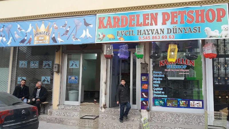 Kardelen Petshop Balık Ve Kuş Dünyası foto 1
