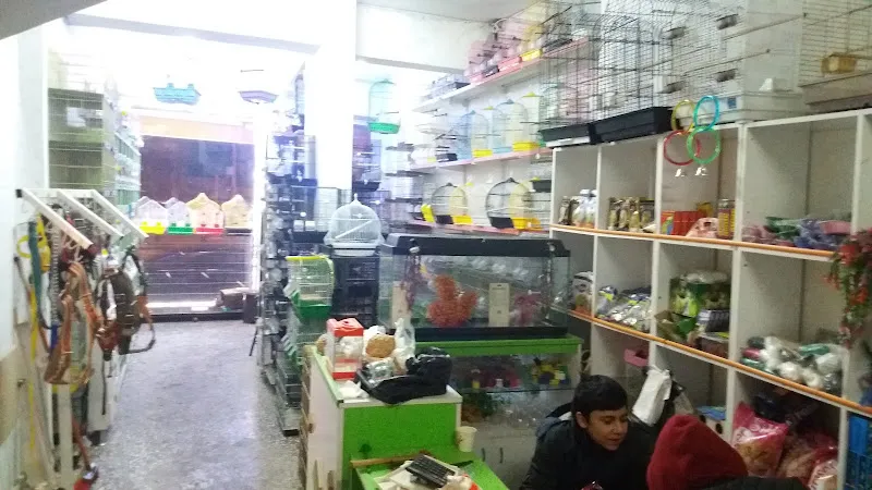 Kardelen Petshop Balık Ve Kuş Dünyası foto 2
