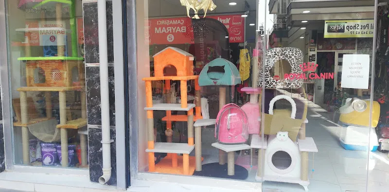 Eylül Akvaryum&Petshop foto 2