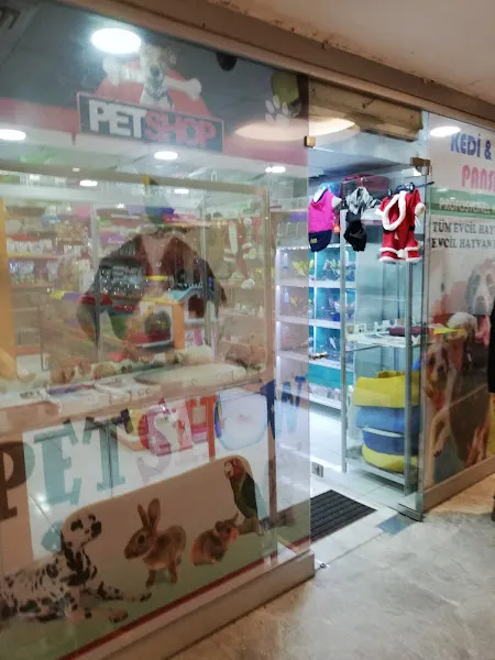 Kanka Köpek - Alya Petshop foto 1
