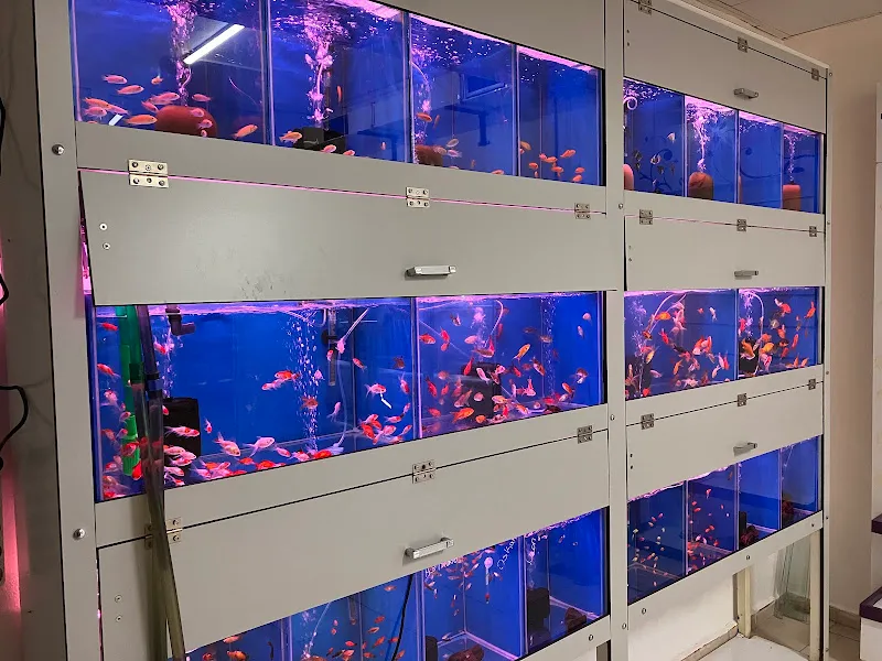 Aktaş Akvaryum & Petshop foto 2