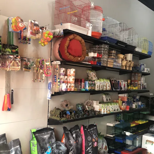 Dere Pet Market (Petshop - Akvaryumcu) foto 2