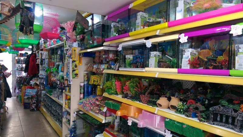 Pehlivan Av Bayii & Pet Shop foto 2
