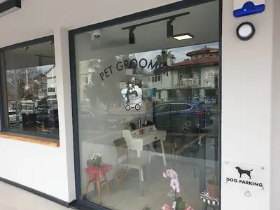 Petzonn Kedi & Köpek Kuaförü