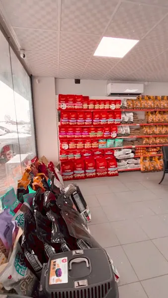 Tirebolu PetPark Veteriner Kliniği foto 2