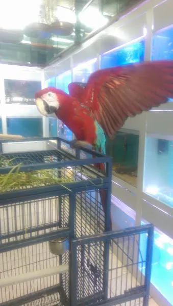 Nida Pet Shop foto 2