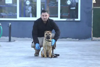 Can dostum köpek eğitim merkezi fotoğrafı