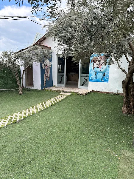 Denizli Köpek Eğitimi & Köpek Oteli foto 1