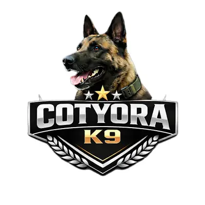 Cotyora K9 köpek eğitim Akademisi ORDU