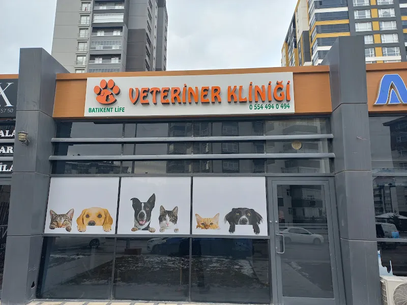 Batıkent Life Veteriner Kliniği-Batıkent Veteriner-Batıkentte Veteriner-Yenimahalle Veteriner foto 1