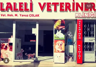 Manisa Laleli Veteriner Kliniği 7/24 ACİL