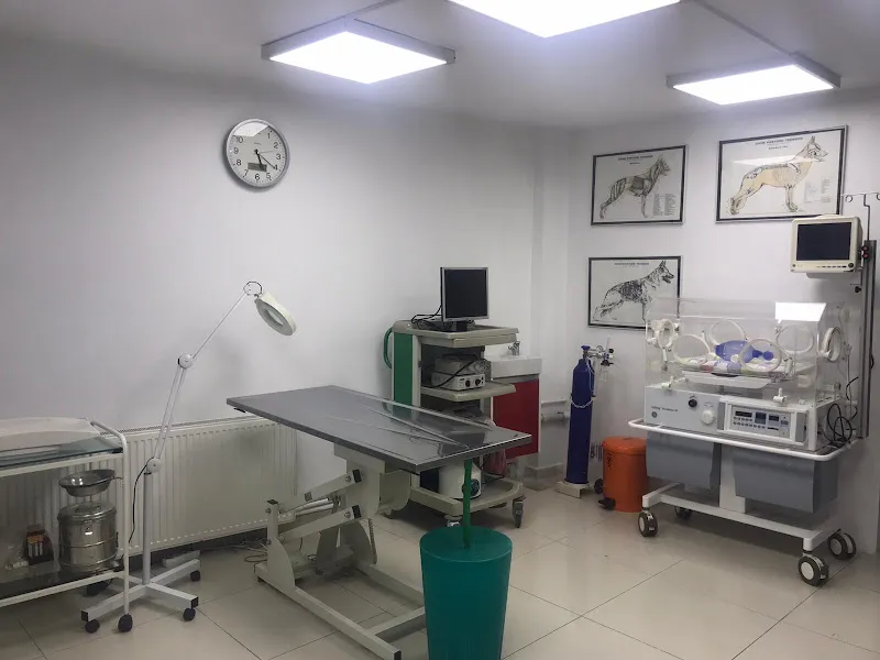UĞUR VETERİNER KLİNİĞİ foto 2