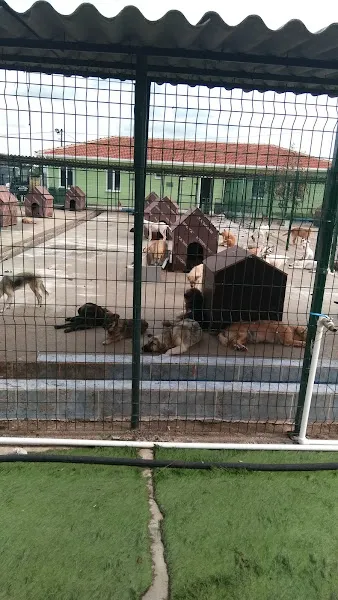 Veteriner İşleri Müdürlüğü Sokak Hayvanları Barınağı Birimi foto 1