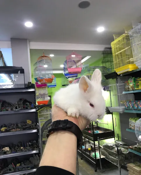 Sakarya Doğa Petshop 4 Serdivan foto 2