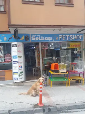 Pet Shop Bursa