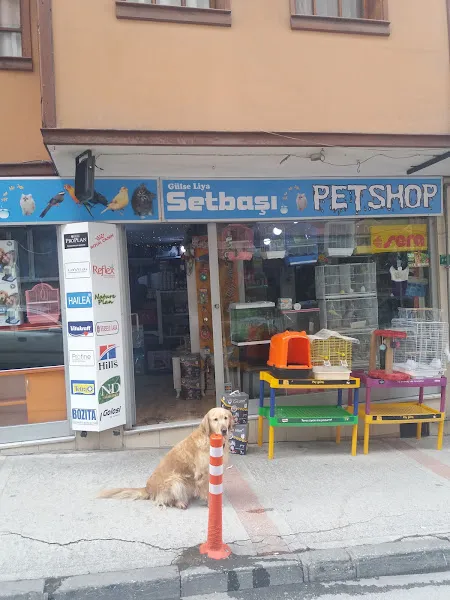 Pet Shop Bursa foto 1