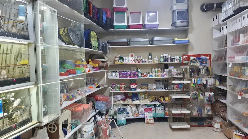 mavi boncuk petshop foto 2