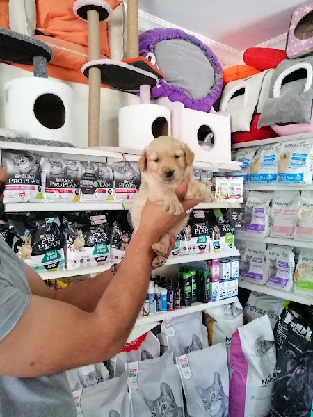Tropical Pet Shop Tarsus foto 2