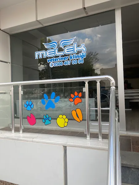melek veteriner kliniği foto 1
