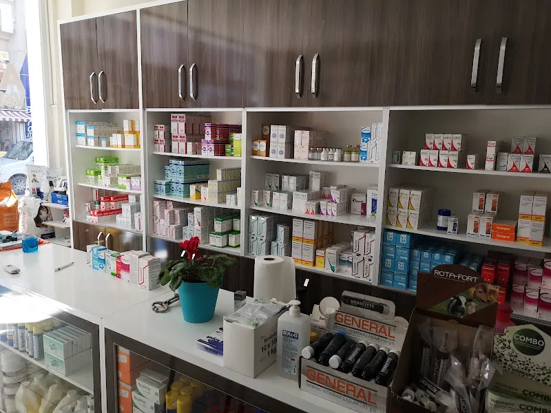 Anatolia Veteriner Kliniği foto 1