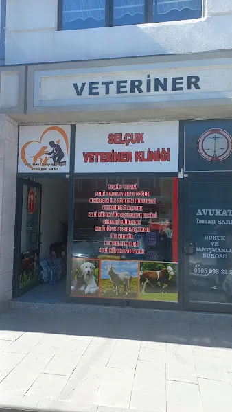 Selçuk Veteriner Kliniği incesu foto 1