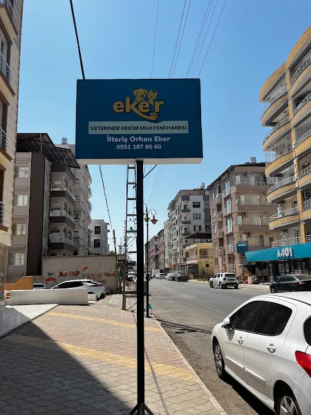 EKER VETERİNER HEKİM MUAYENEHANESİ foto 1