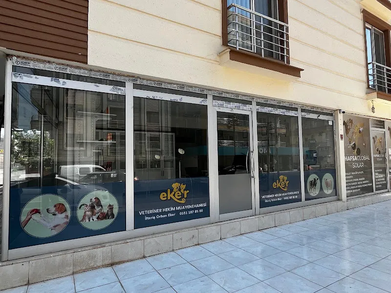 EKER VETERİNER HEKİM MUAYENEHANESİ foto 2