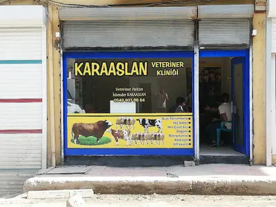 KARAASLAN VETERİNER POLİKLİNİĞİ