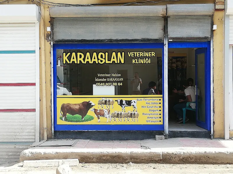 KARAASLAN VETERİNER POLİKLİNİĞİ foto 1