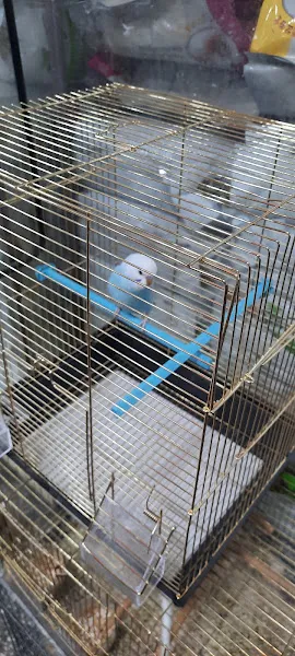 Doğu Akvaryum ve Kuş Evi - Elazığ Petshop foto 2