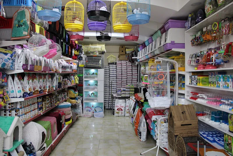 Hazal Petshop Yozgat foto 2