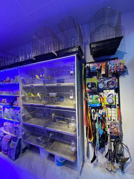 Animal World Pet shop foto 2