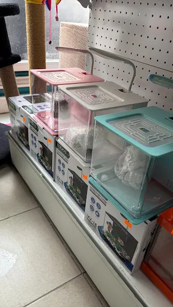 Oğuz Akvaryum Petshop foto 2