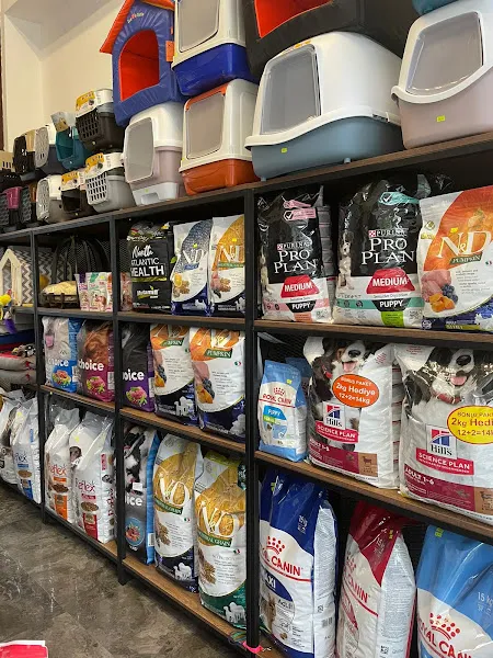 DREAM PET & AQUATIC - Eskişehir Pet Shop foto 2