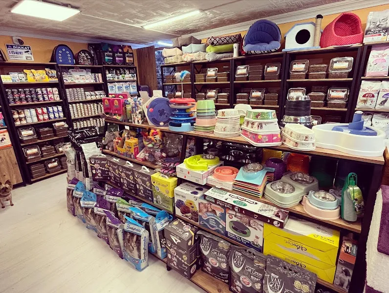 Galaksi Pet Shop & Kuaför foto 2