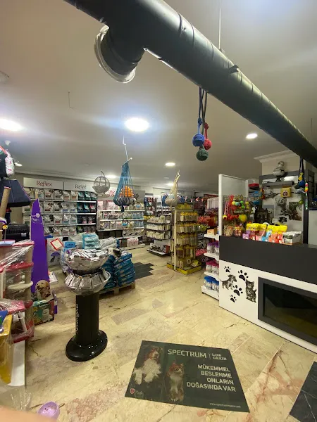 Lda Petshop foto 2