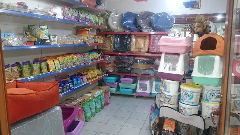 Derin Petshop foto 2