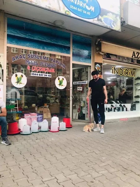 Maviş Akvaryum Pet Shop foto 1