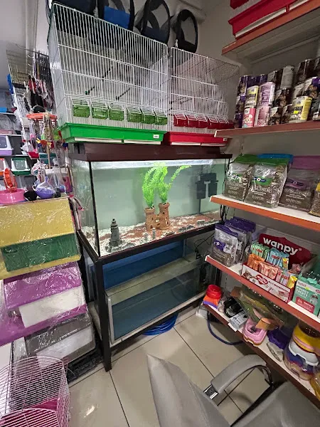 Maviş Akvaryum Pet Shop foto 2