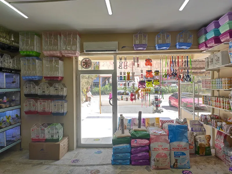 Hatay Petshop foto 2
