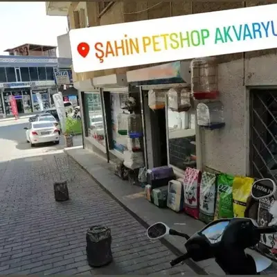 Şahin petshop akvaryum