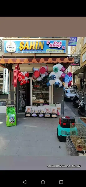 Şahin petshop akvaryum foto 2