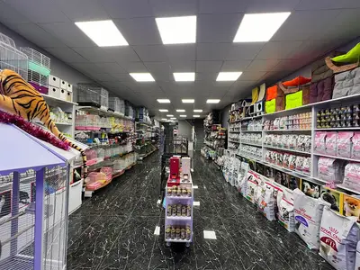 X Petshop