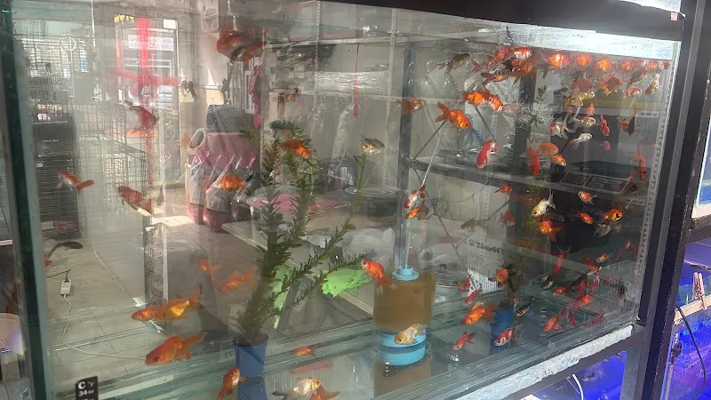 BATUŞ PETSHOP Elazığ foto 2