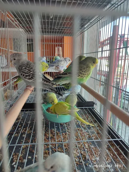 Öztürk petshop foto 2