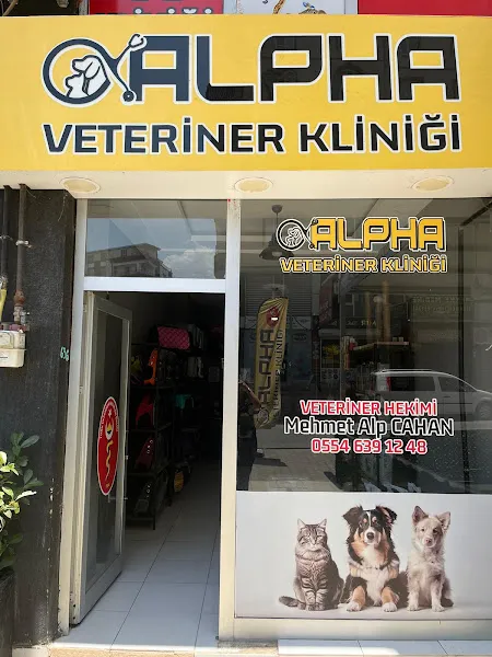 Derman Veteriner Kliniği foto 2